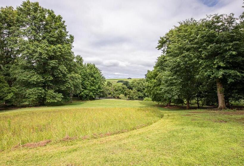 Bed and Breakfast Waterford Manor