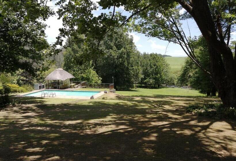 Bed and Breakfast Waterford Manor