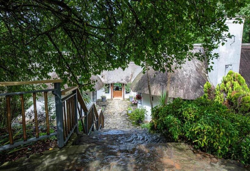 Bed and Breakfast Waterford Manor