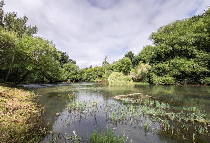 Bed and Breakfast Waterford Manor