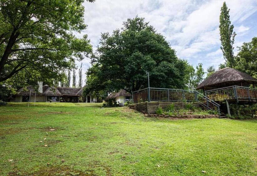 Bed and Breakfast Waterford Manor