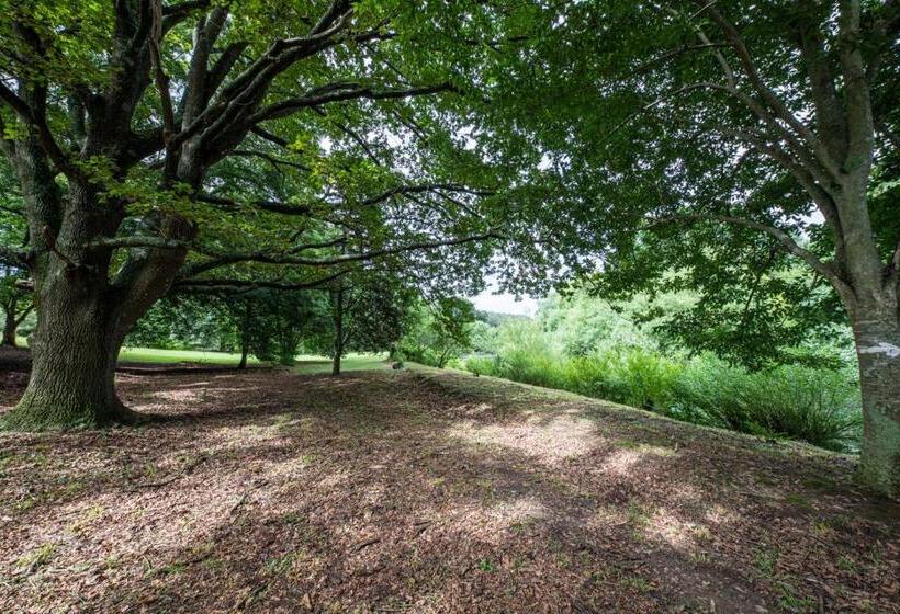 Bed and Breakfast Waterford Manor