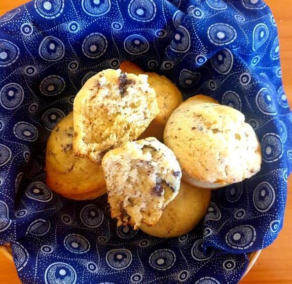 Bed and Breakfast Waterford Manor