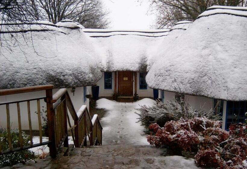 Bed and Breakfast Waterford Manor