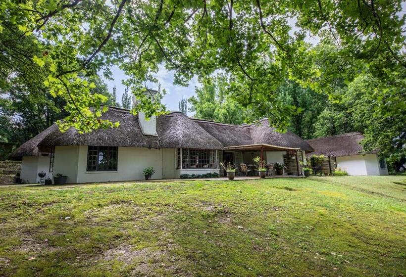 Bed and Breakfast Waterford Manor