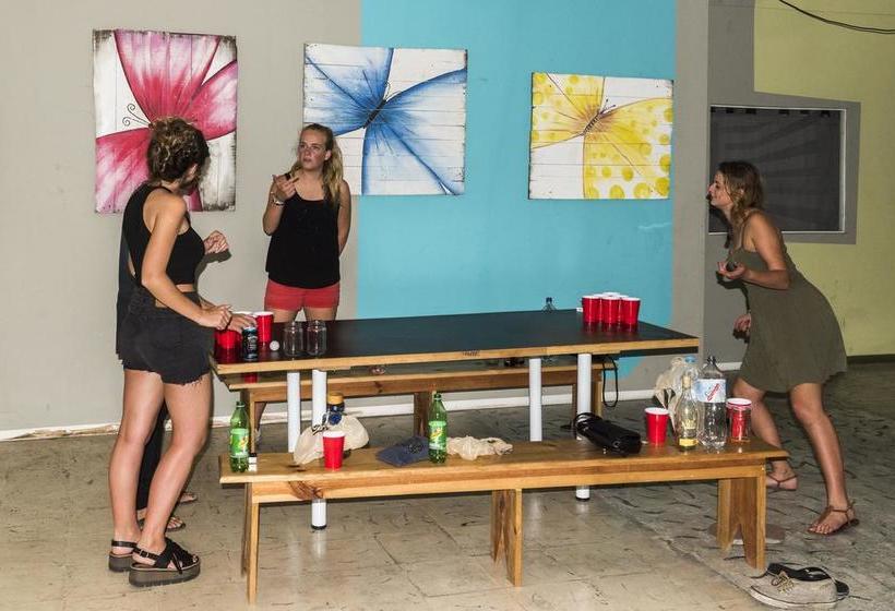 Guacamundo Hostel