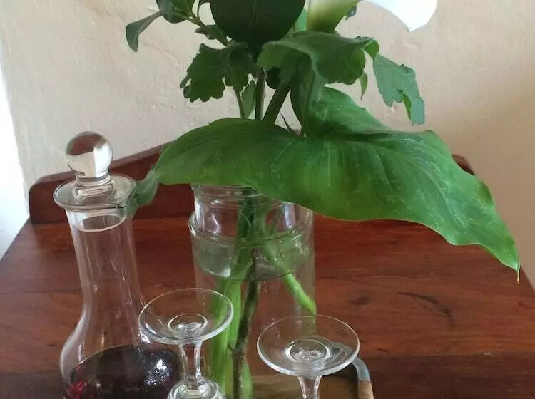 Mont Fleur B&b