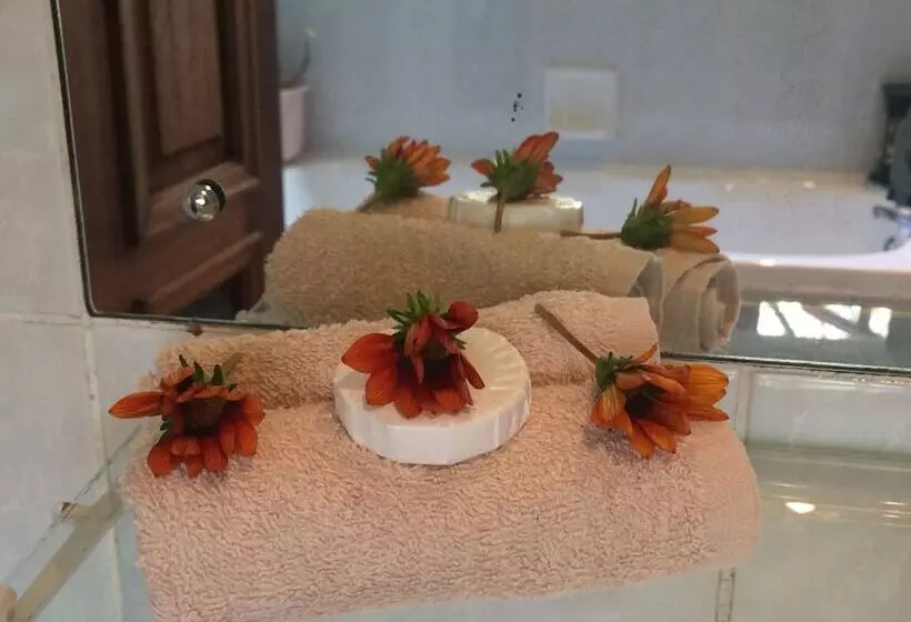 Mont Fleur B&b