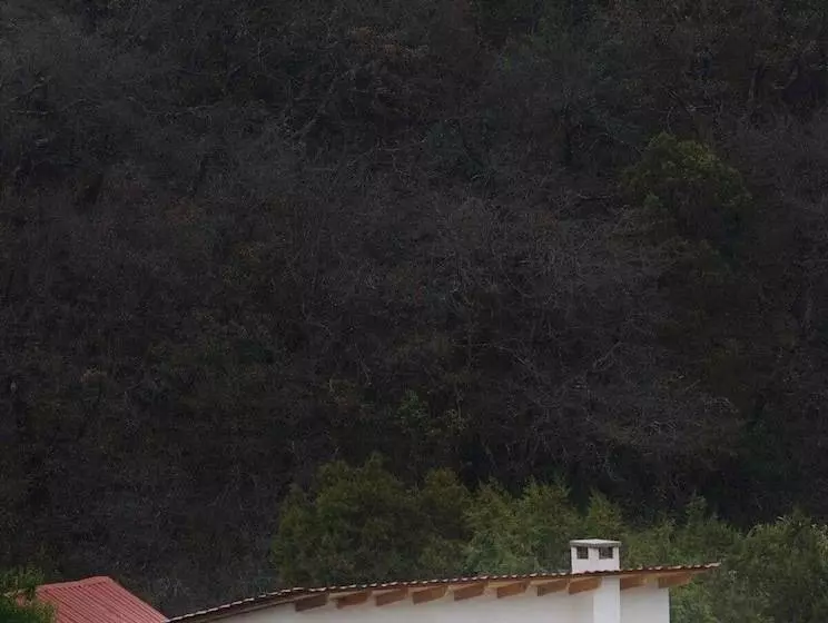 ホテル Cabaña El Encino Iii En Real Del Monte