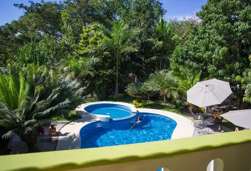 فندق صغير Casa Losodeli & Coworking  Adults Only