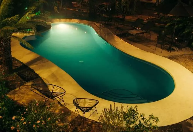 ユースホステル Casa Losodeli & Coworking  Adults Only