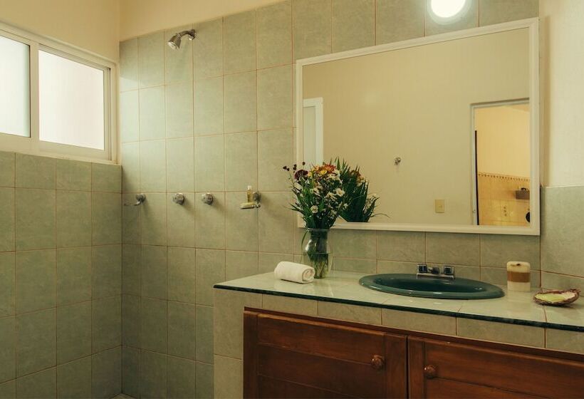 فندق صغير Casa Losodeli & Coworking  Adults Only