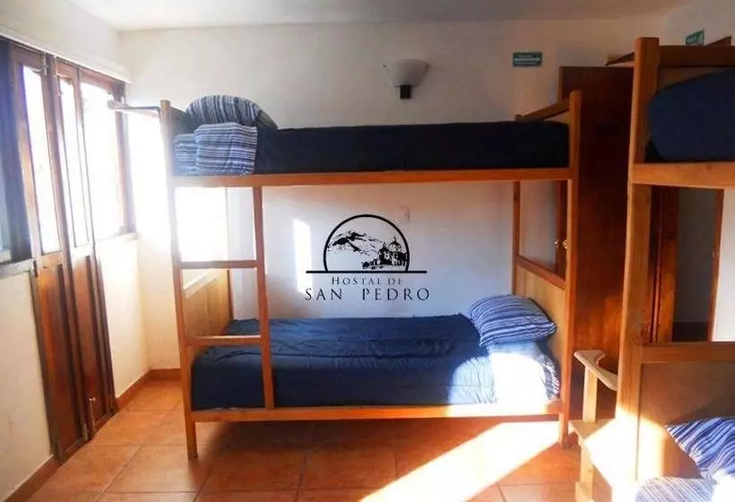 ユースホステル Hostal De San Pedro
