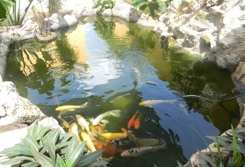 住宿加早餐  Hacienda Cobá