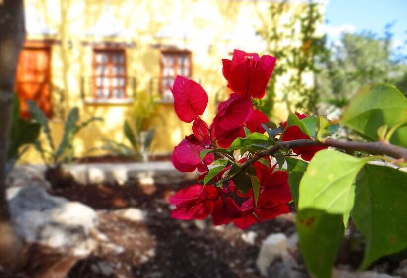 住宿加早餐  Hacienda Cobá