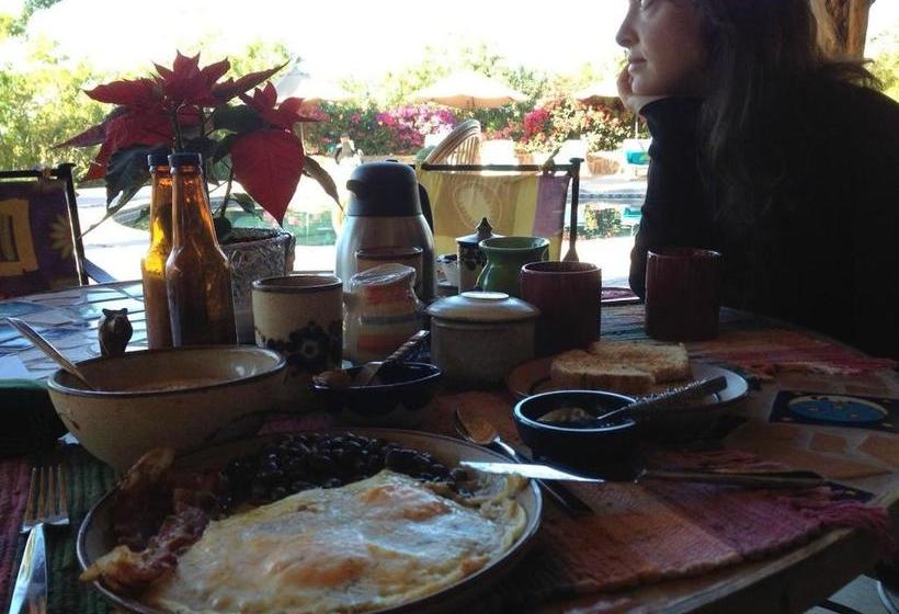 צימר Serendipity