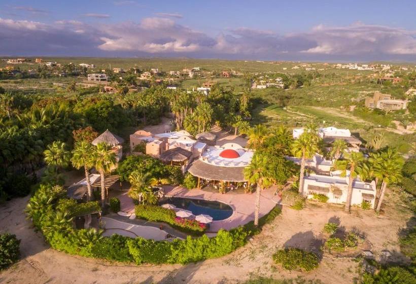 צימר Serendipity