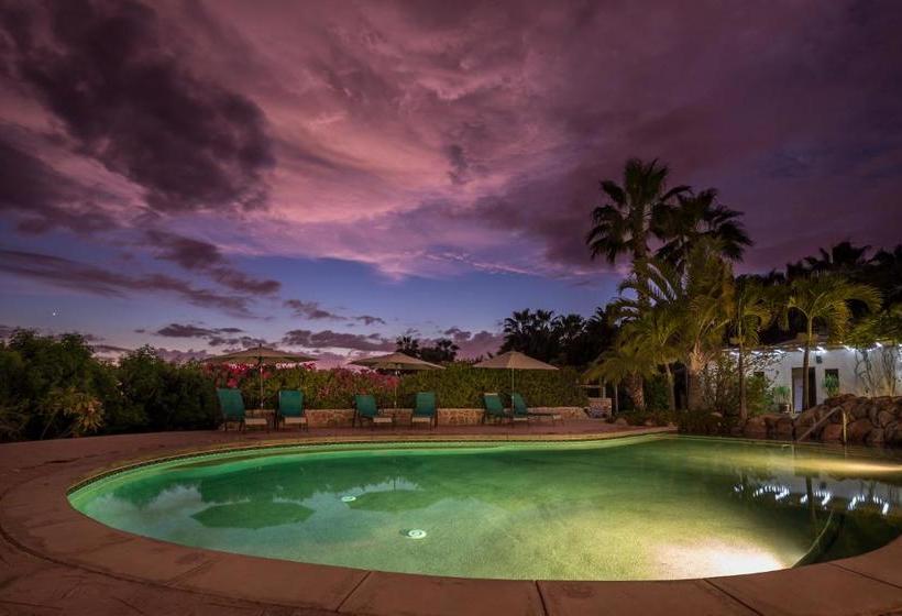 צימר Serendipity