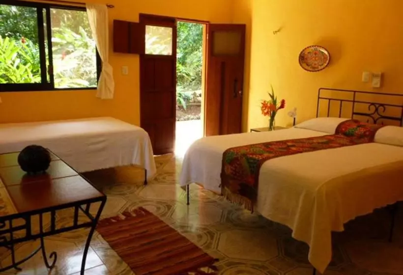 تختخواب و صبحانه The Flycatcher Inn Boutique