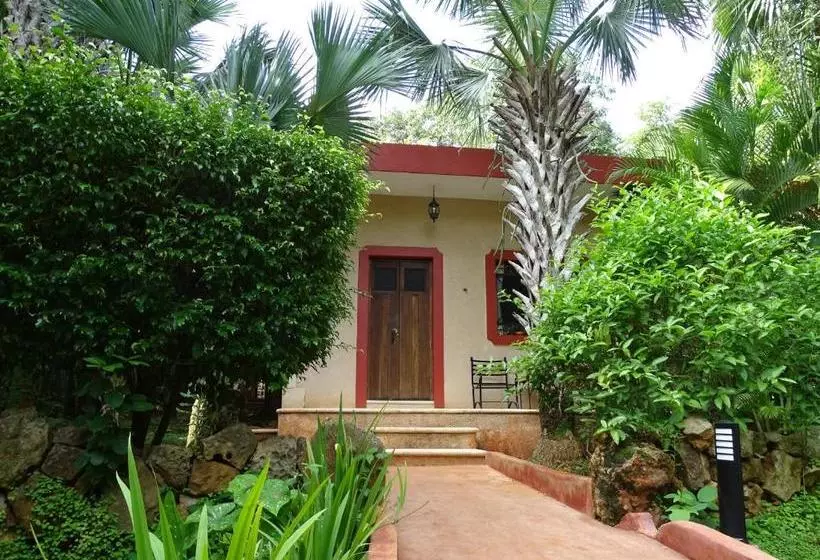 تختخواب و صبحانه The Flycatcher Inn Boutique