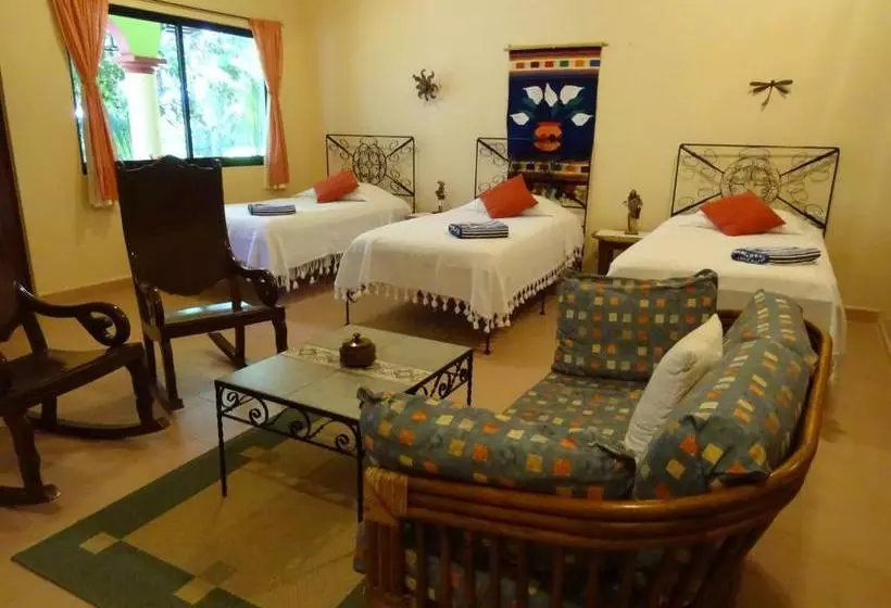 تختخواب و صبحانه The Flycatcher Inn Boutique