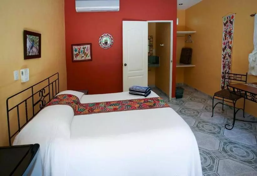 تختخواب و صبحانه The Flycatcher Inn Boutique