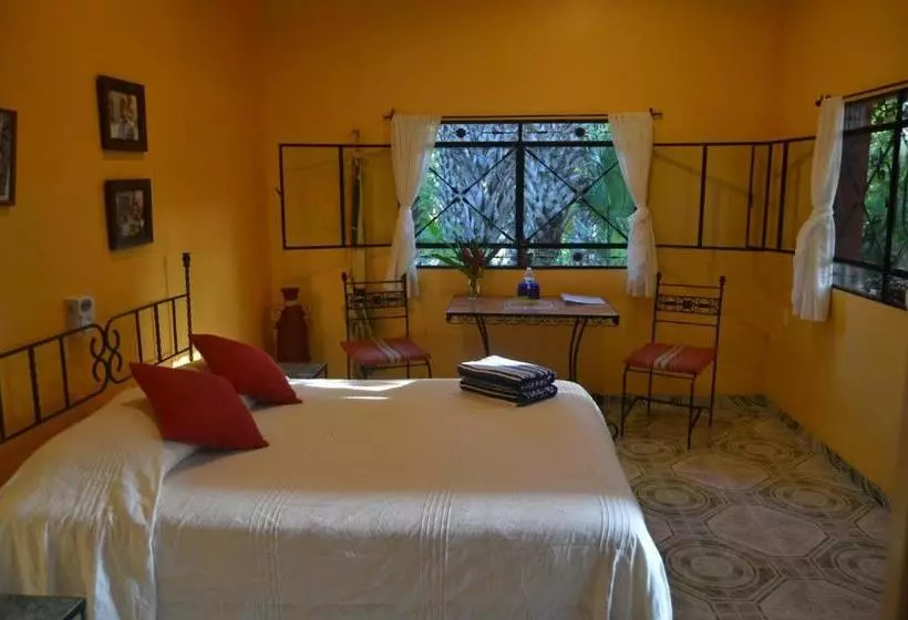 تختخواب و صبحانه The Flycatcher Inn Boutique