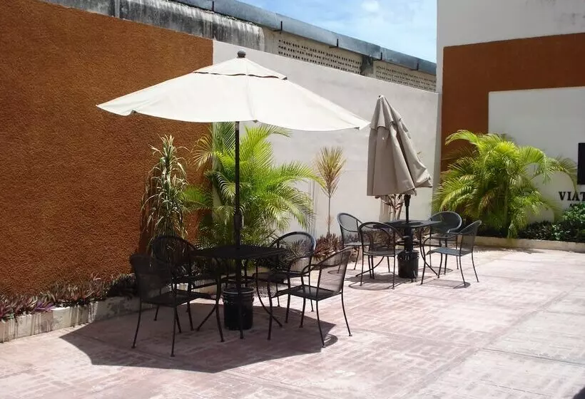 Hostel Viatger Inn
