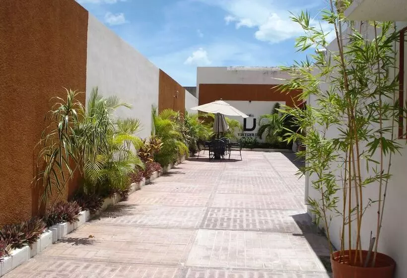 Hostel Viatger Inn