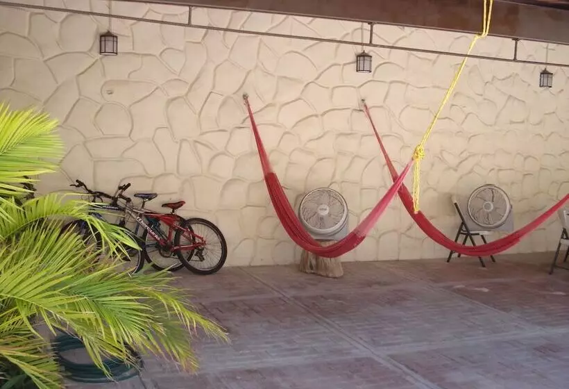 Hostel Viatger Inn