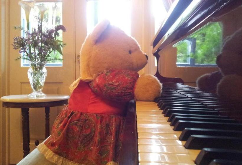 酒店 Amore Mt Tamborine