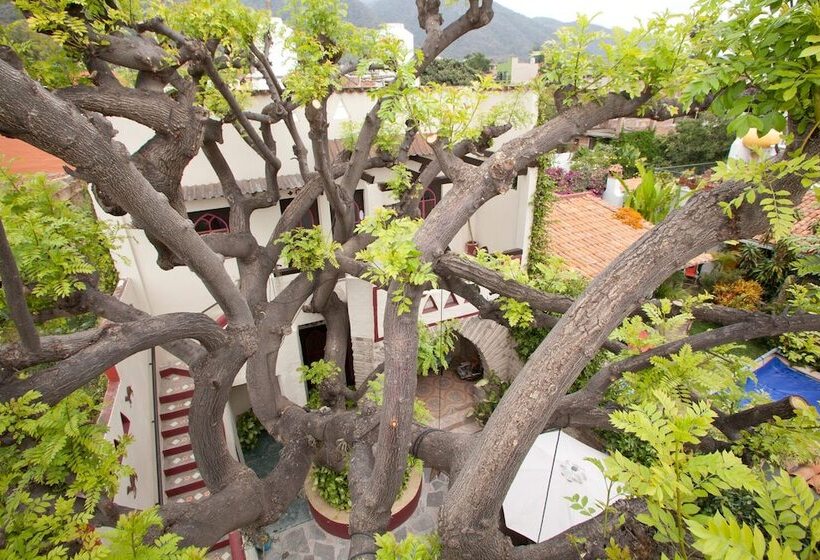 Отель Casa Blanca