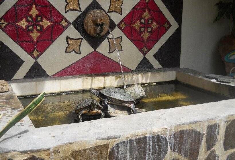 Отель Casa Blanca