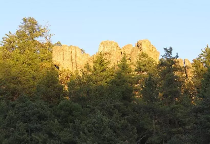 ホテル Ecológico Temazcal