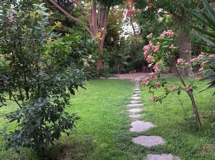 El Molino Hotel Boutique