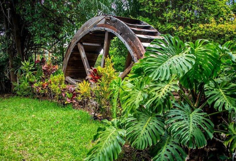 El Molino Hotel Boutique