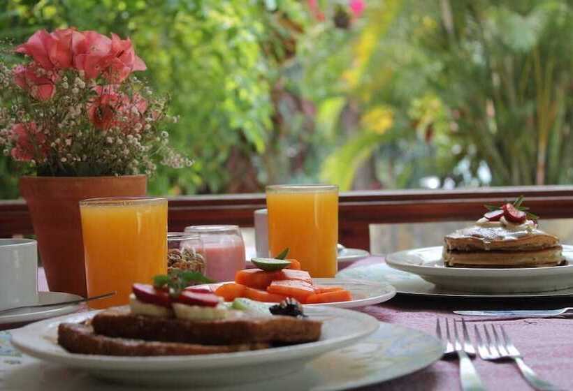 El Molino Hotel Boutique