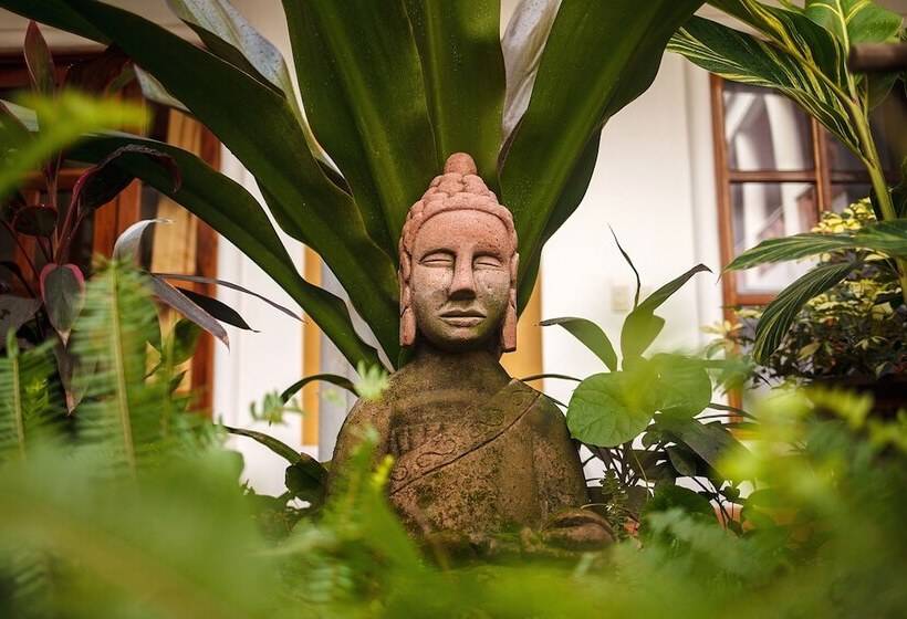 בית מלון כפרי Ito Los Sueños