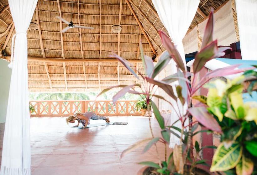 בית מלון כפרי Ito Los Sueños