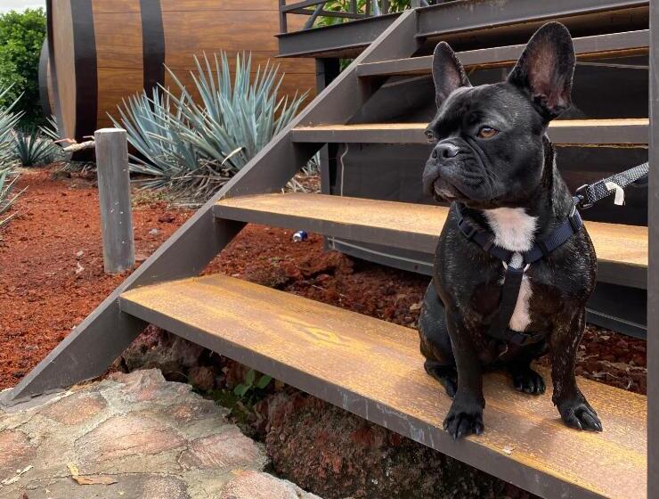 Matices Hotel De Barricas