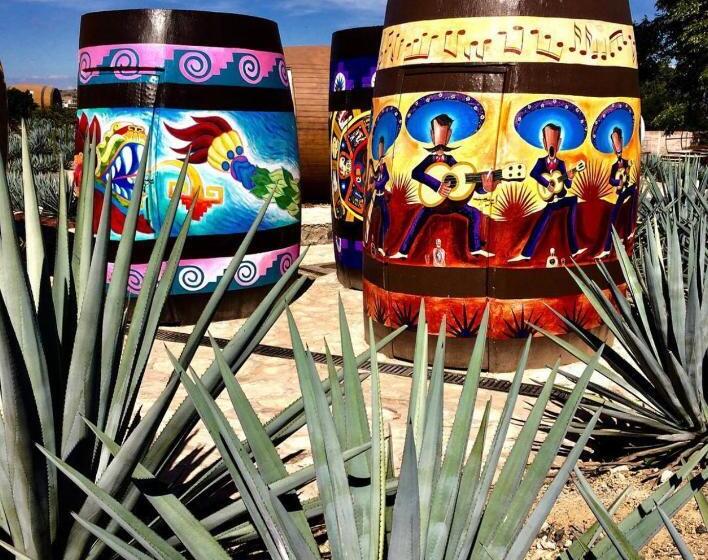 Matices Hotel De Barricas