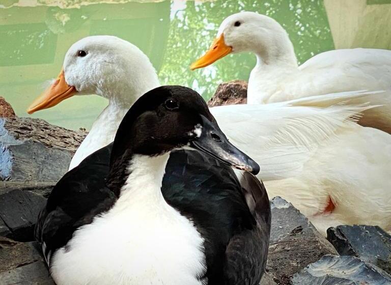 Matices Hotel De Barricas