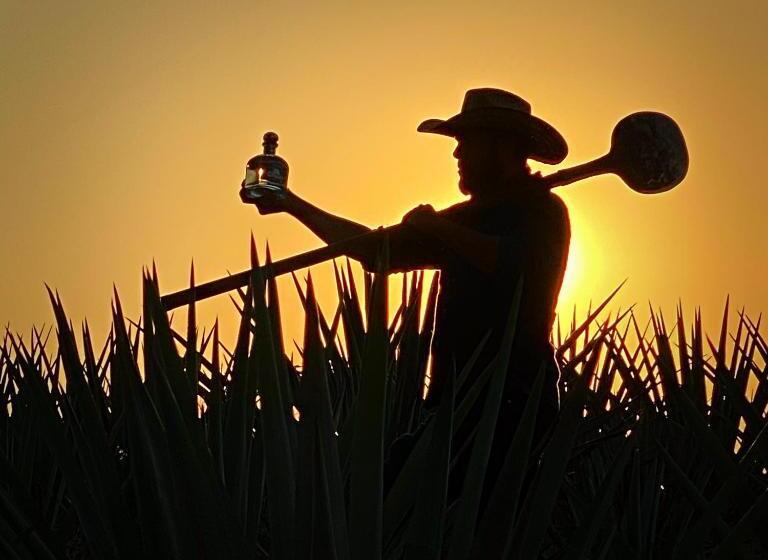 Matices Hotel De Barricas