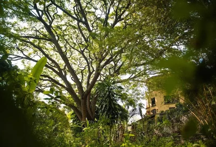 Hotelli Rancho La Joya