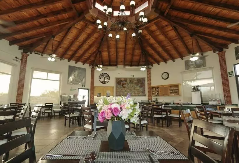 Hotelli Real De San Jose