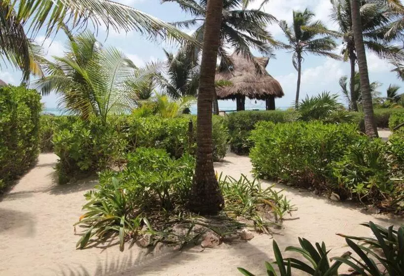 リゾートホテル Sol Caribe