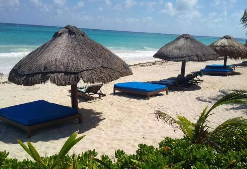 リゾートホテル Sol Caribe