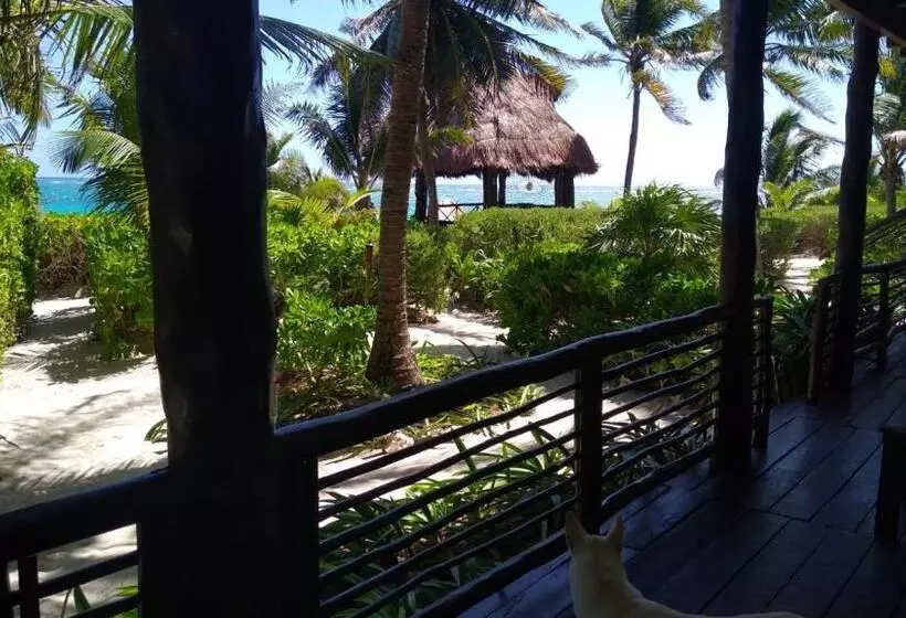 リゾートホテル Sol Caribe