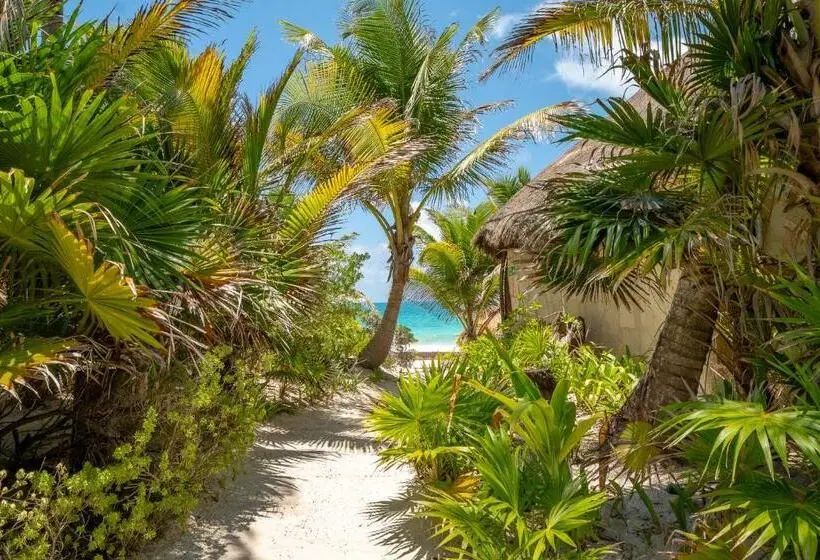 リゾートホテル Sol Caribe