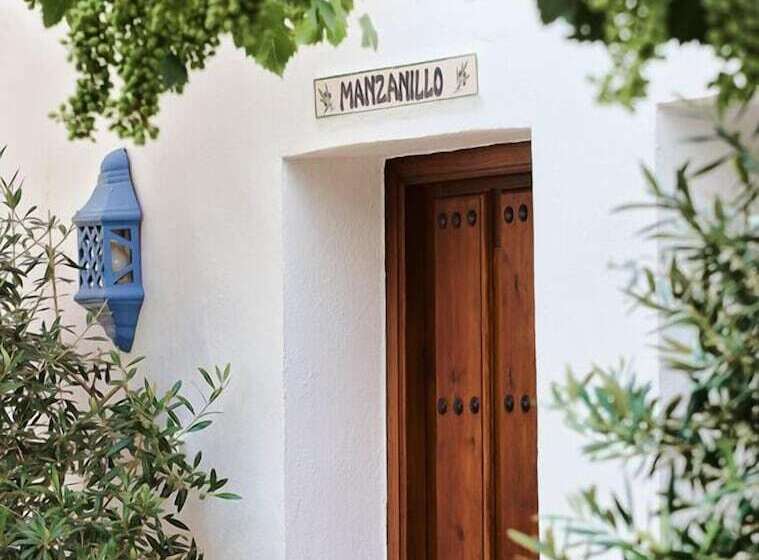 Casa Rural El Olivar B&b